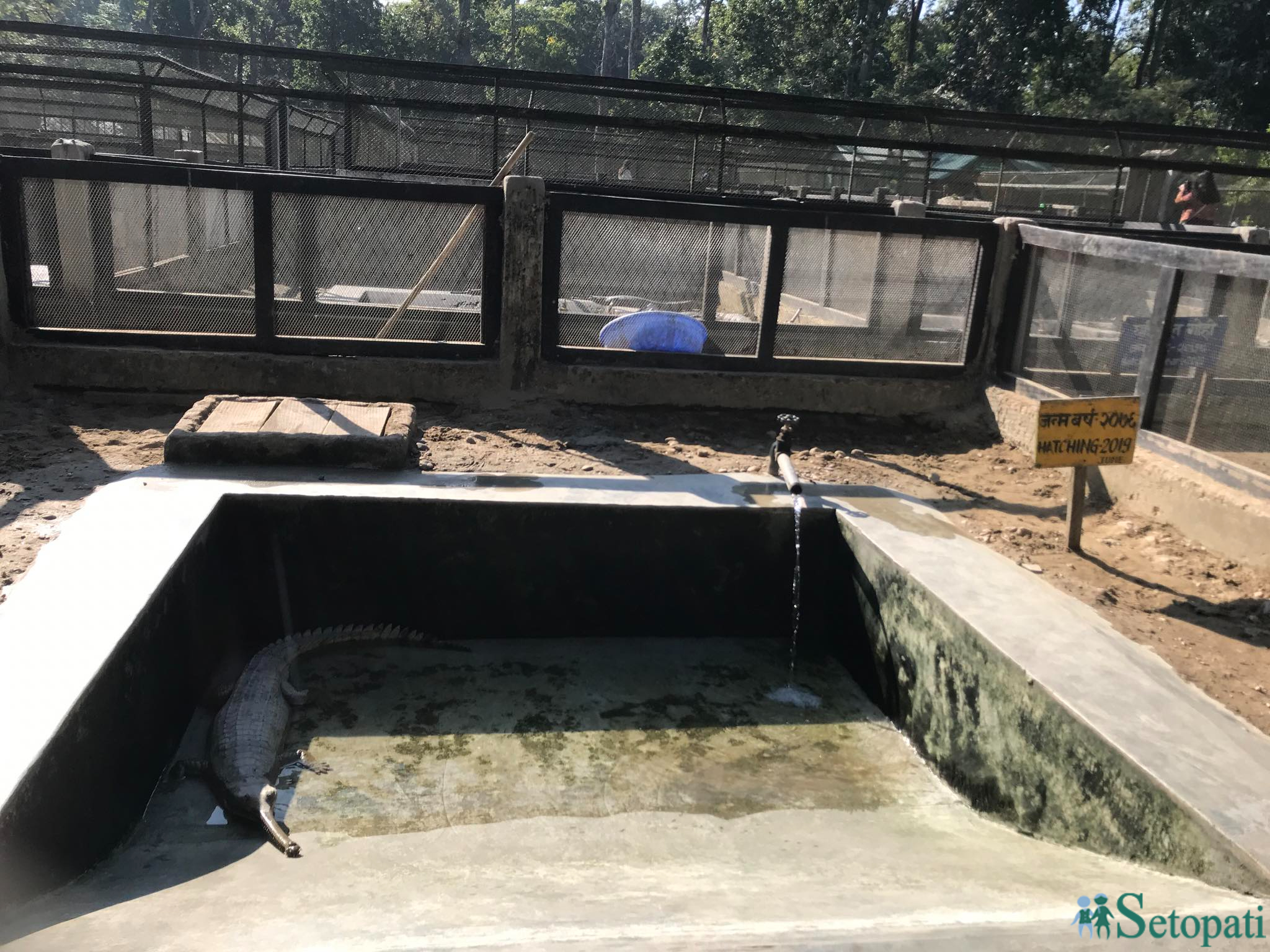 gadiyal center 16.jpg