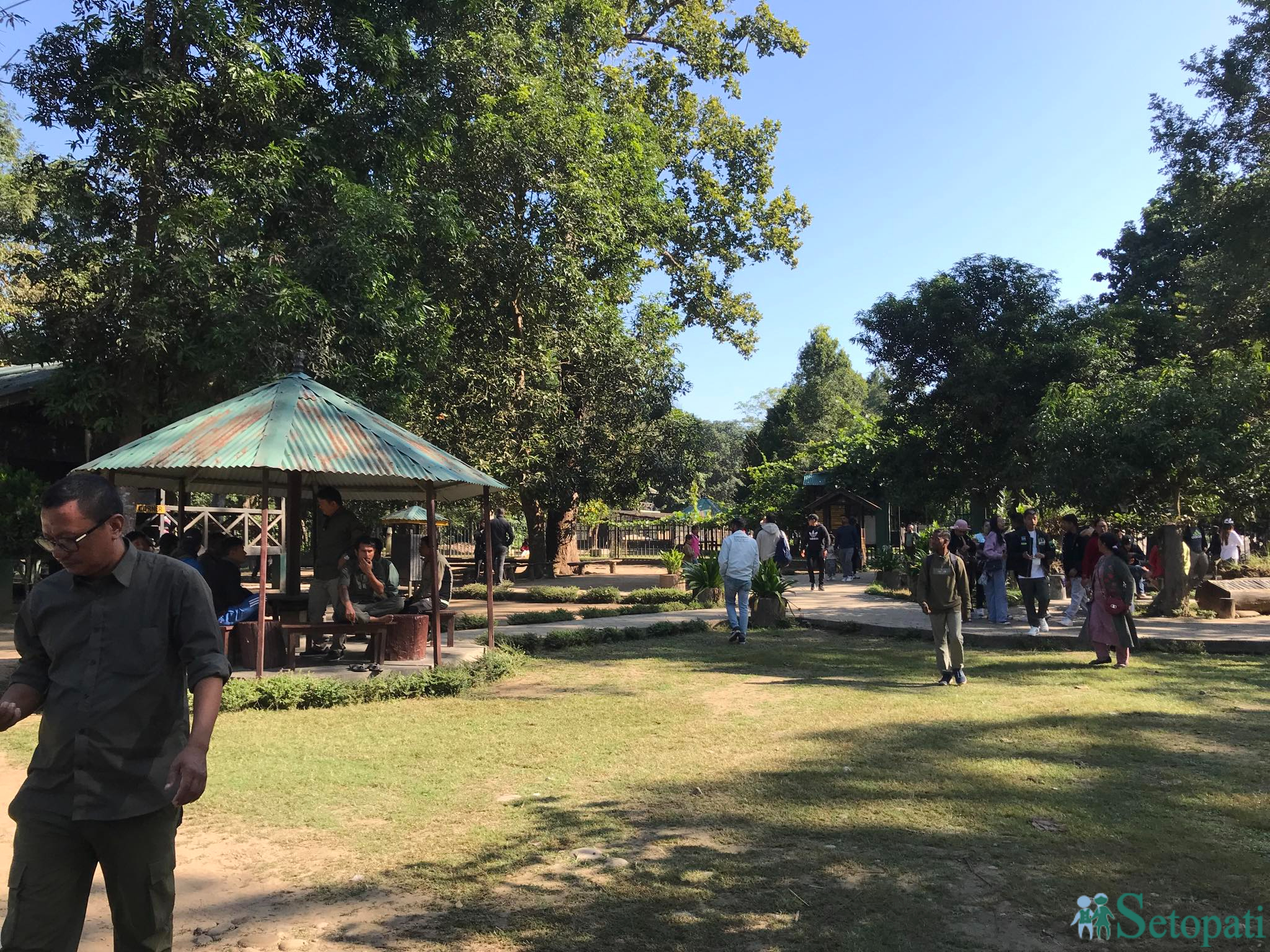 gadiyal center 17.jpg