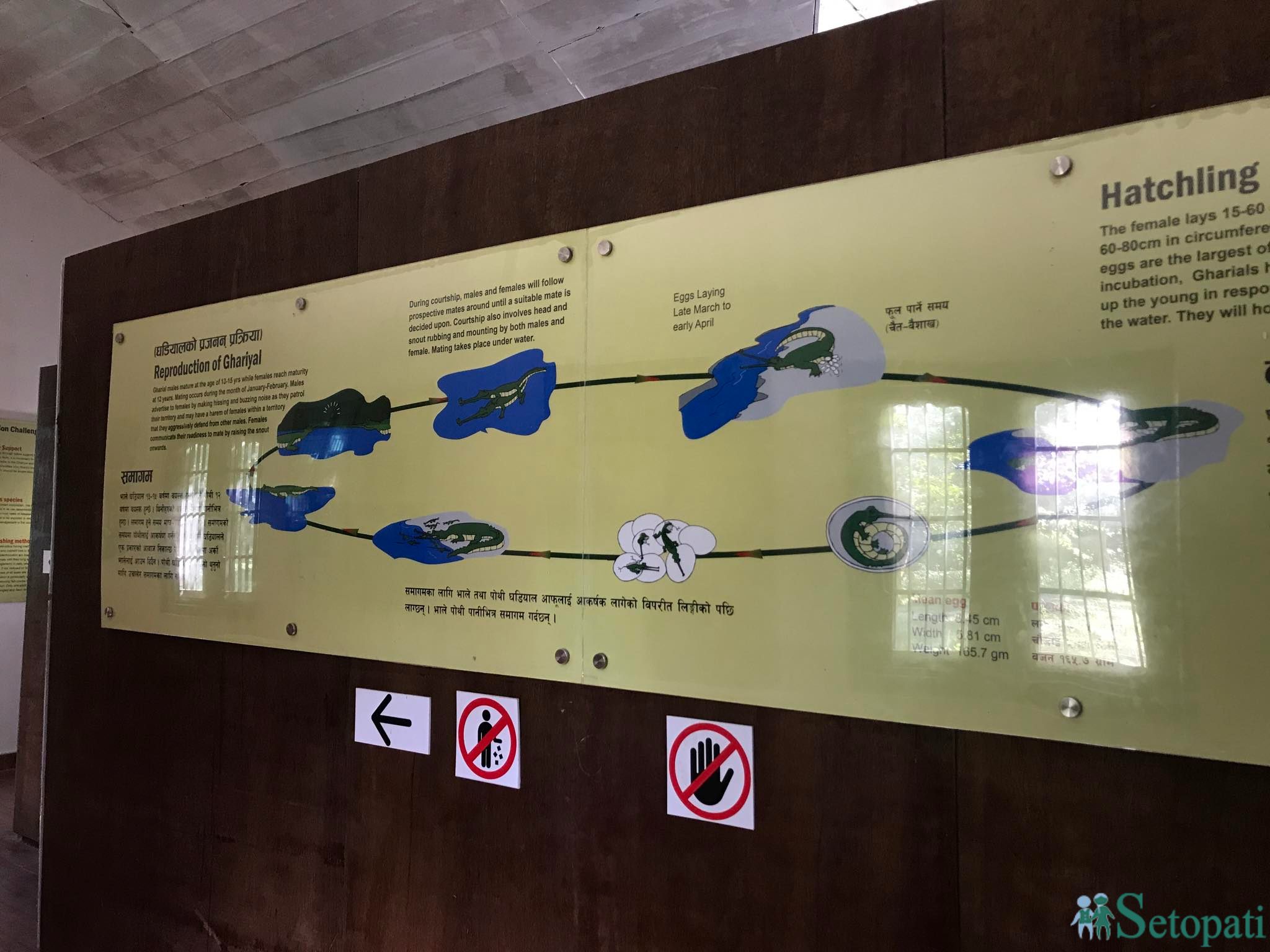 gadiyal center 18.jpg