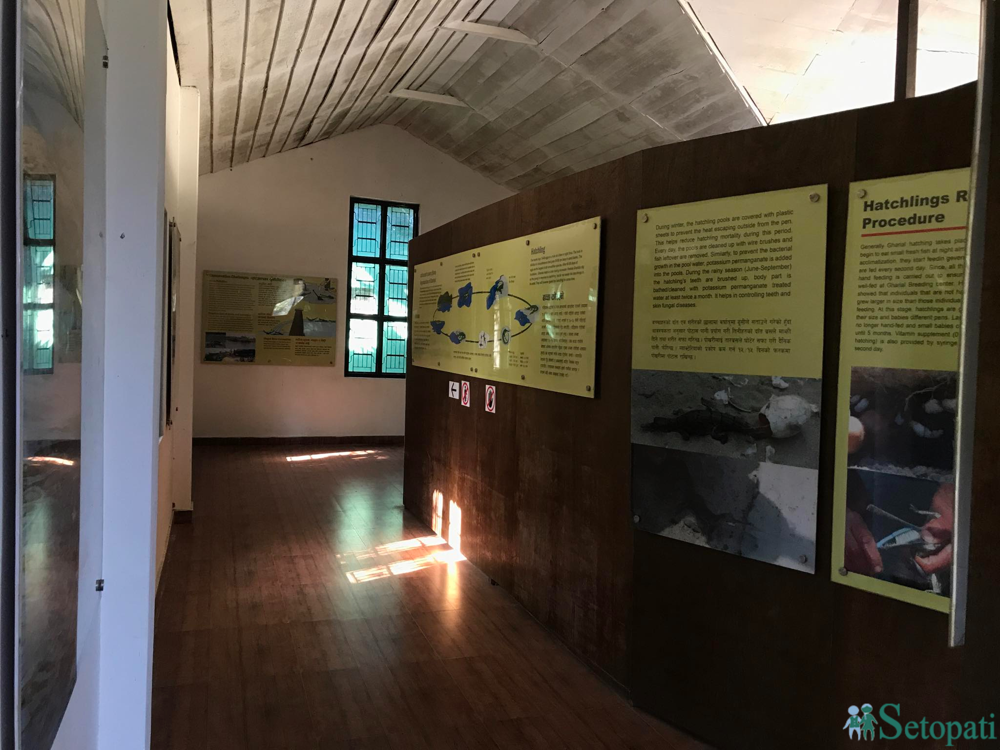 gadiyal center 19.jpg