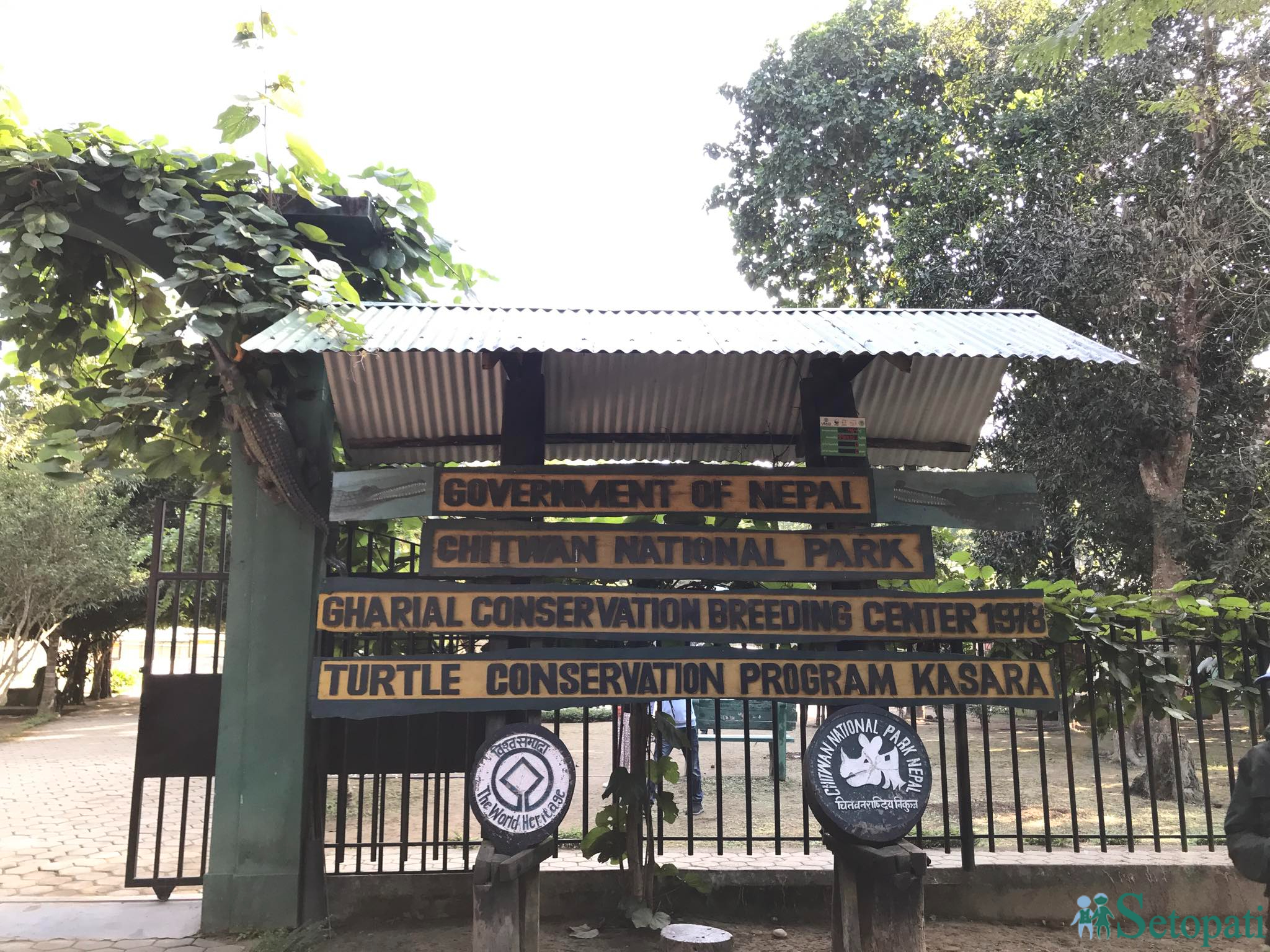 gadiyal center 2.jpg