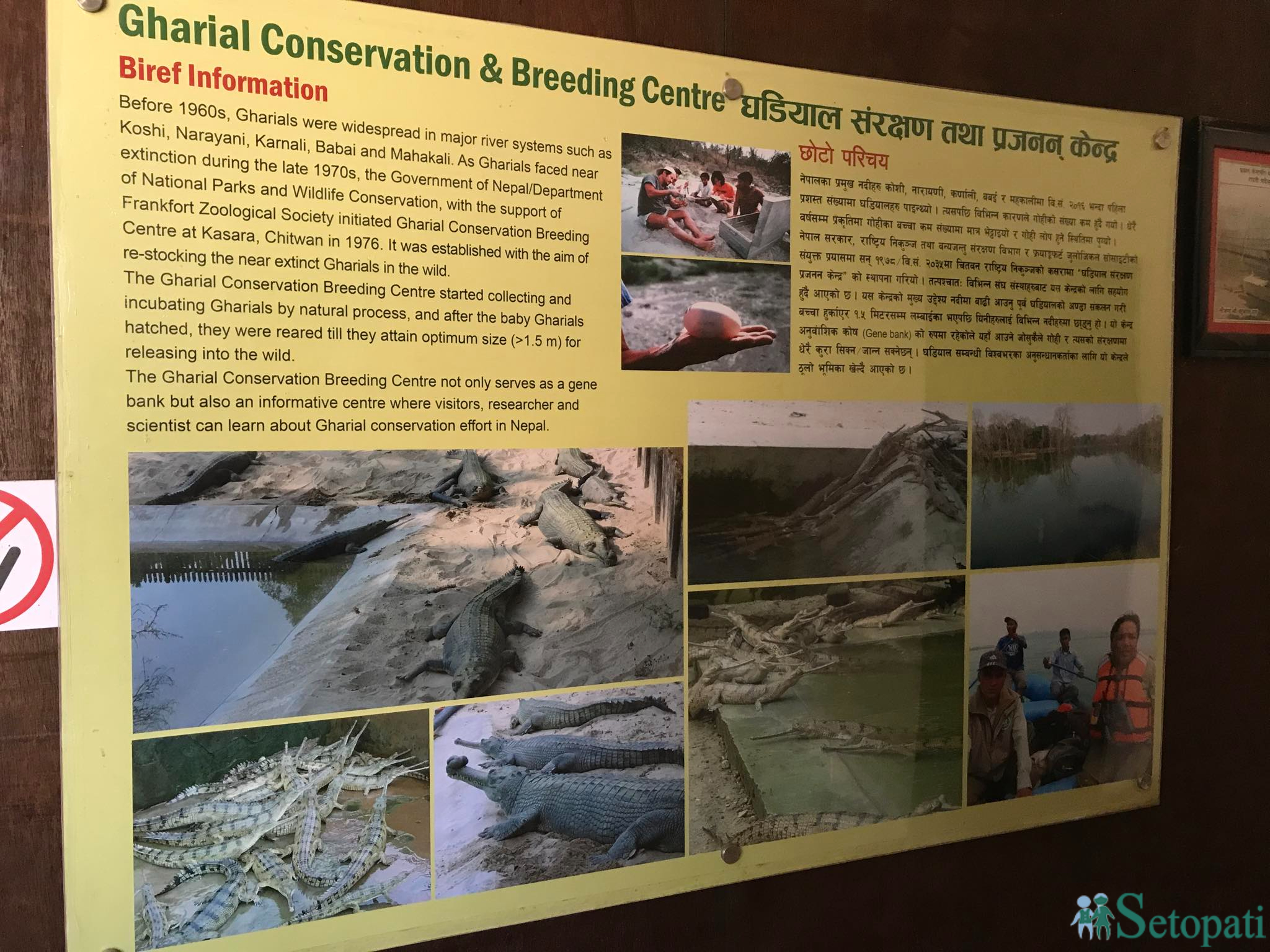 gadiyal center 20.jpg