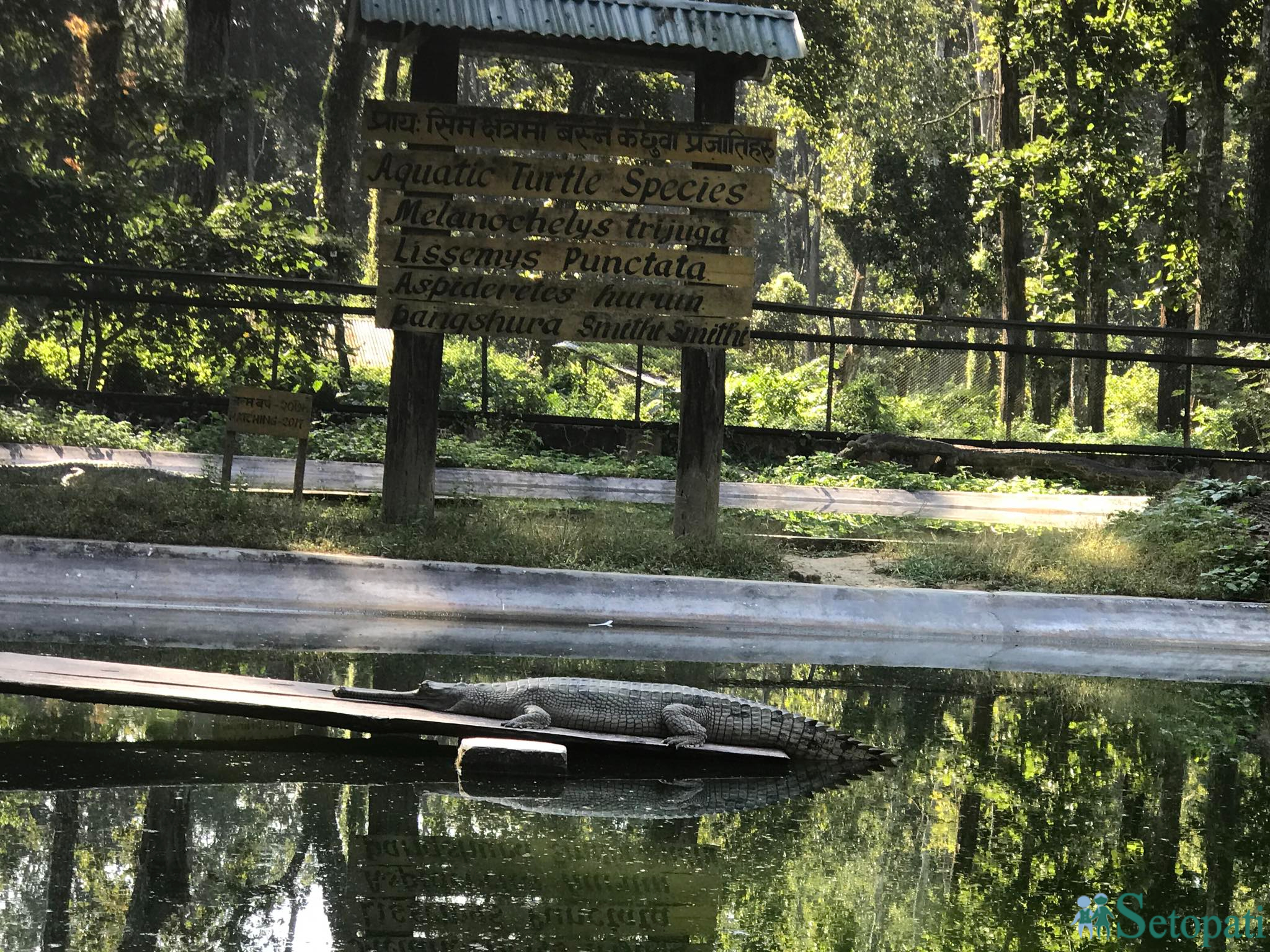 gadiyal center 3.jpg