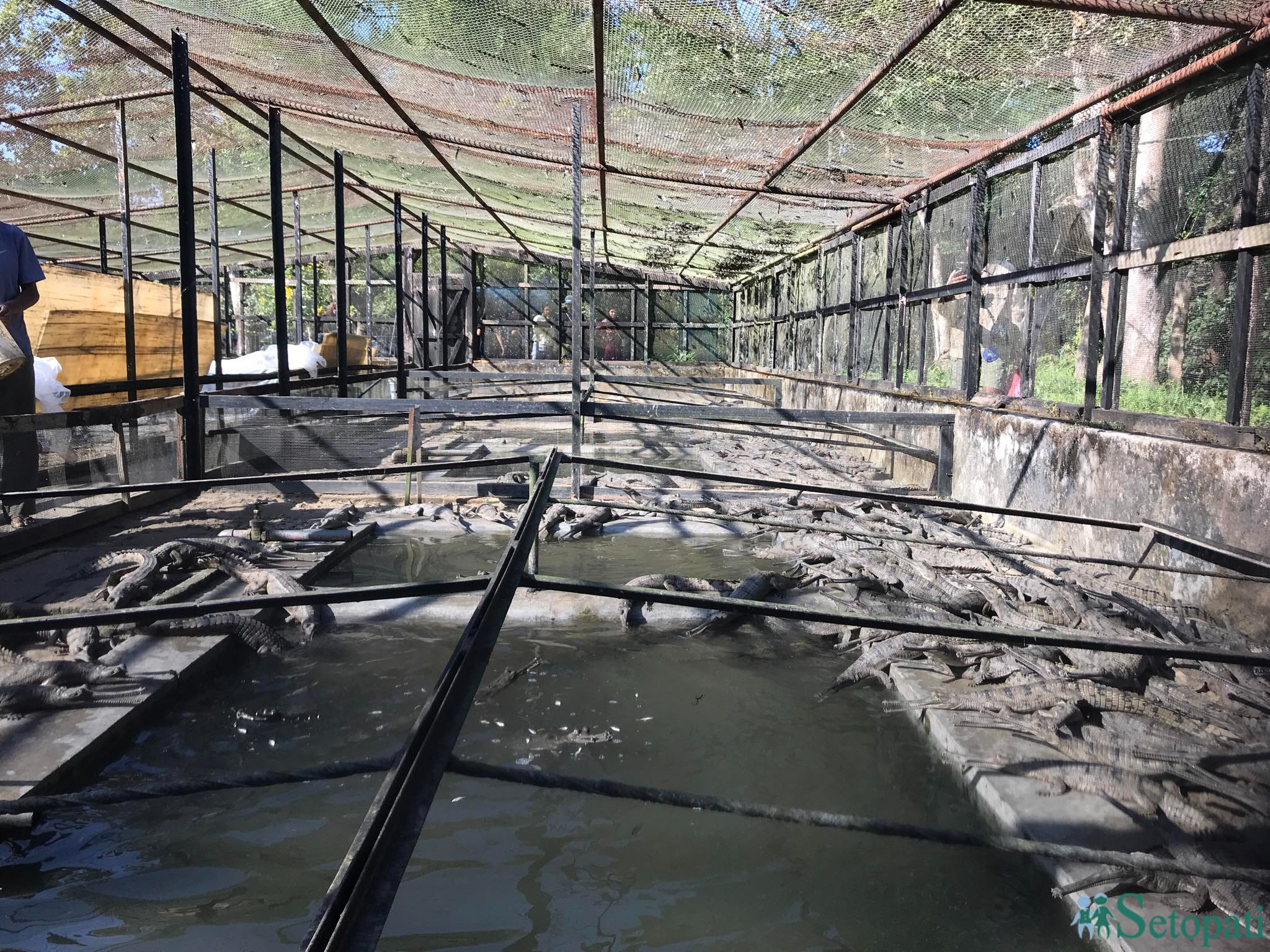 gadiyal center 5.jpg