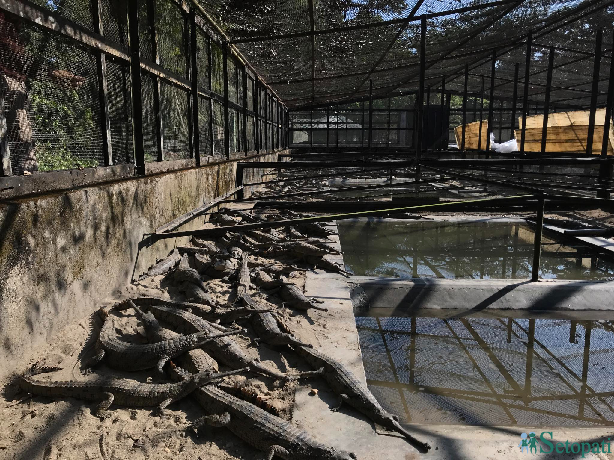 gadiyal center 6.jpg