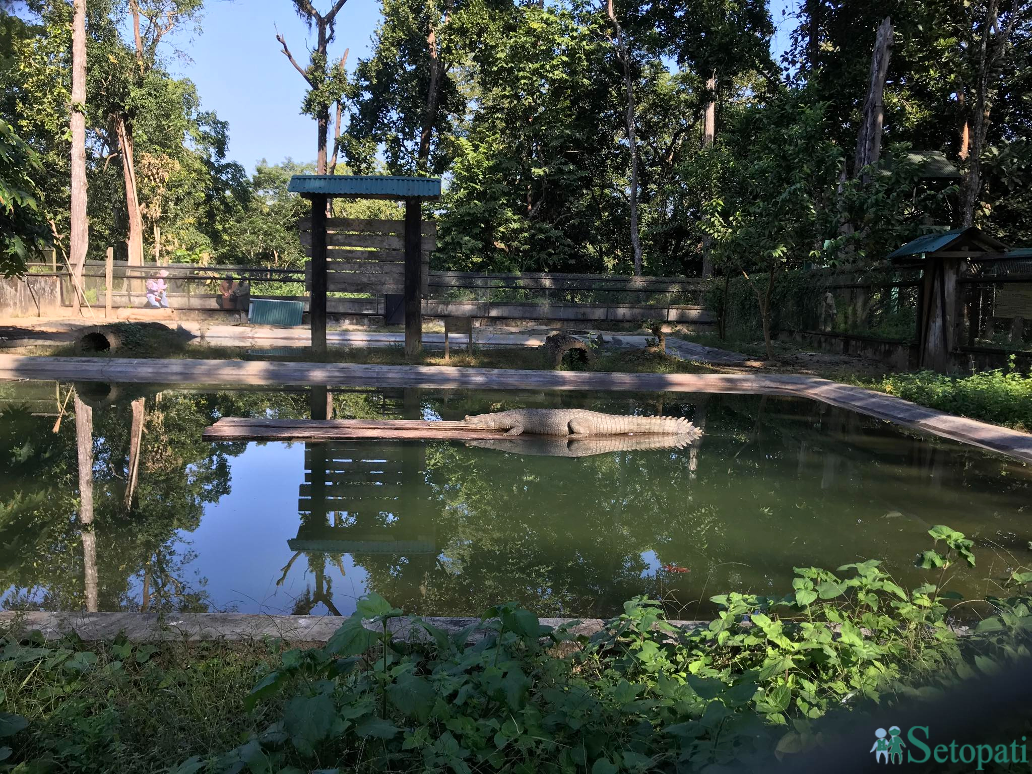 gadiyal center 7.jpg