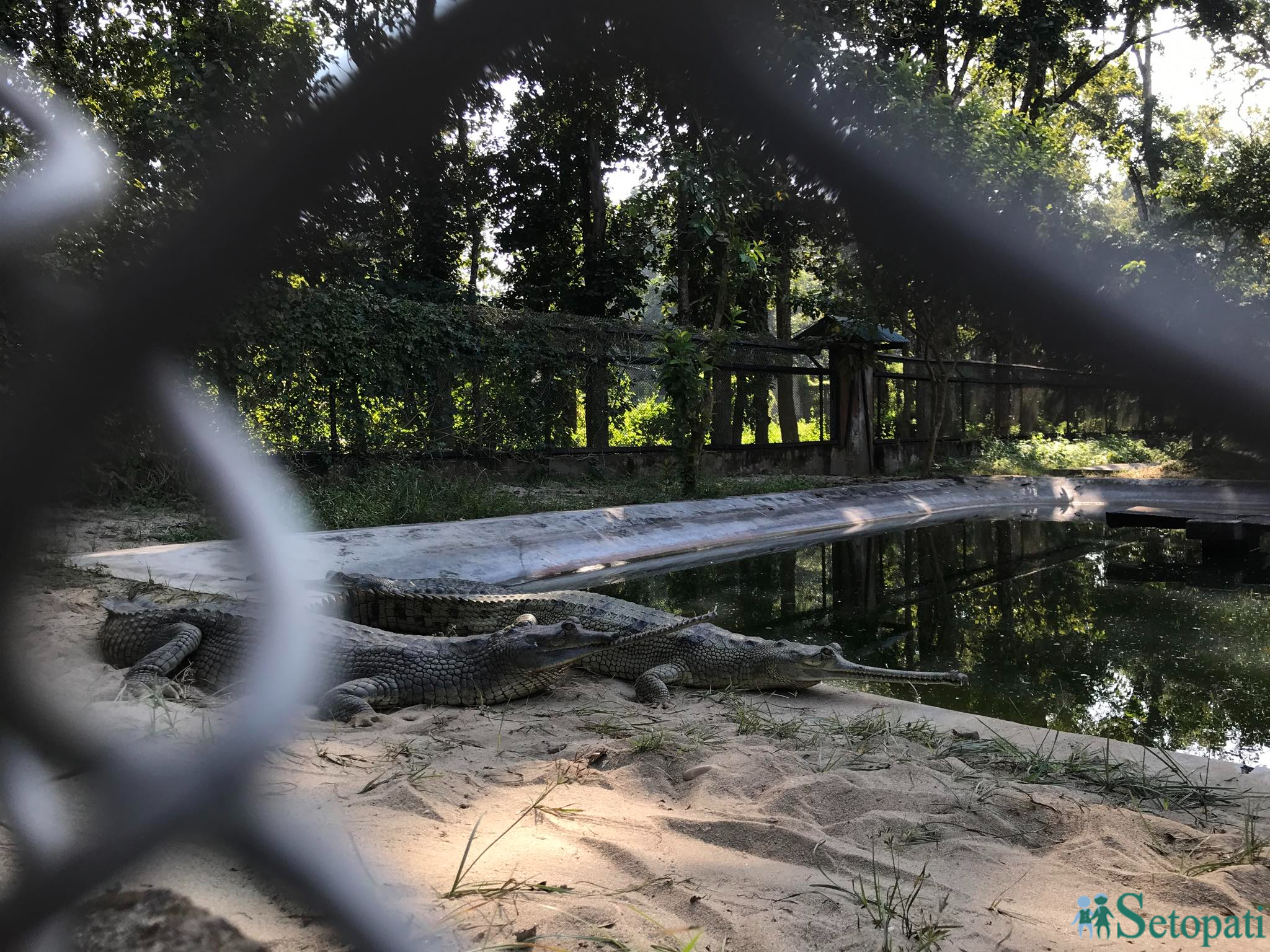 gadiyal center 8.jpg