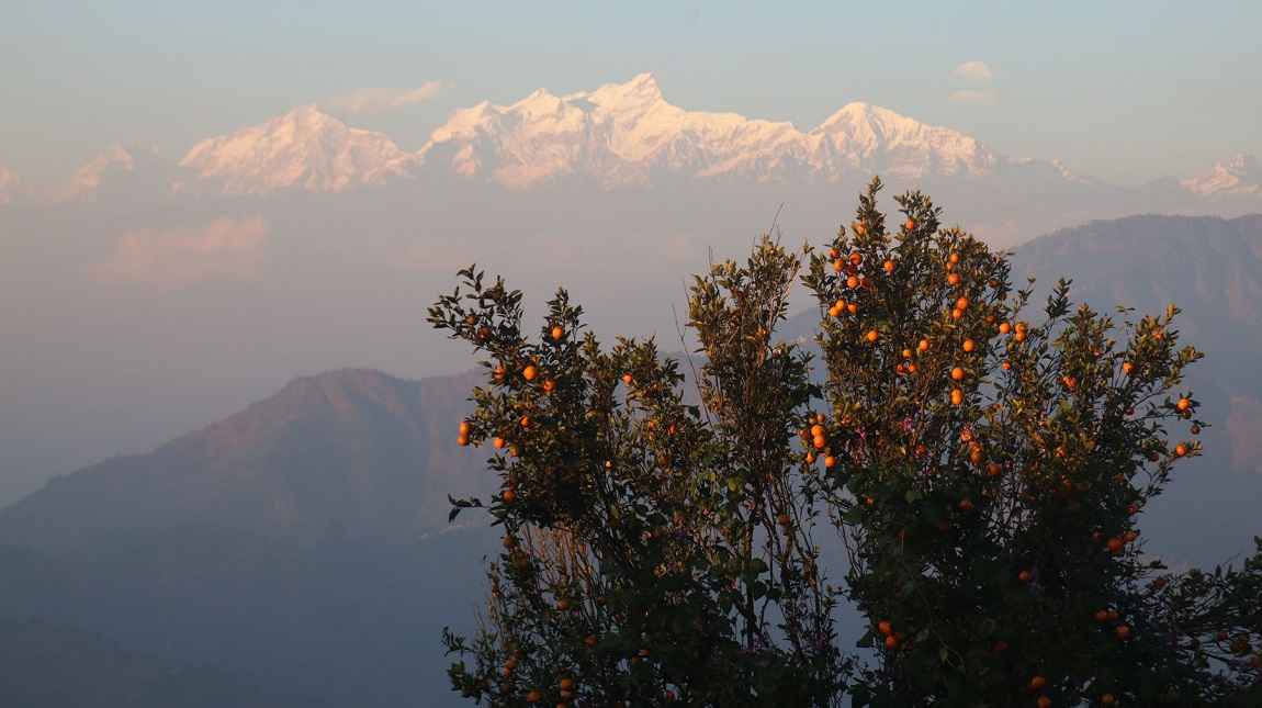 धनगढीमा जिल्ला प्रशासन कार्यालयको निषेधाज्ञा तोडेर विद्यार्थीहरू प्रदर्शनमा उत्रिएपछि स्थिति तनावग्रस्त बनेको छ। विद्यार्थीहरूले नाराबाजी गर्दै विरोध प्रदर्शन गरेका हुन्। तस्बिर: सविता बुढा