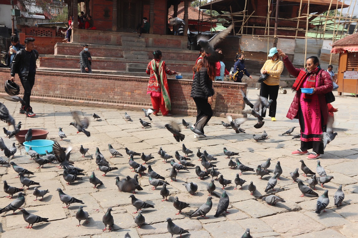 नाबालिग बलात्कार अभियोगबाट पूर्णविक्रम शाह (पल शाह) लाई सफाई दिने उच्च अदालतको नजिर अन्य इजलासले नअपनाओस् भन्दै पोखरामा प्रदर्शन भएको छ। उच्च अदालत पोखरा अगाडि शुक्रबार अभियन्ताहरूले उक्त माग राख्दै प्रदर्शन गरेका हुन्। तस्बिर सौजन्य: रिना थापा
