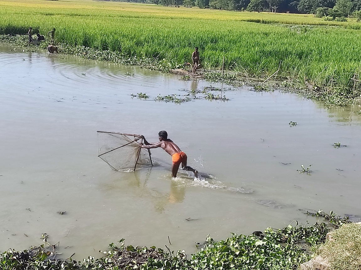 आजका तस्बिर- कात्तिक १५