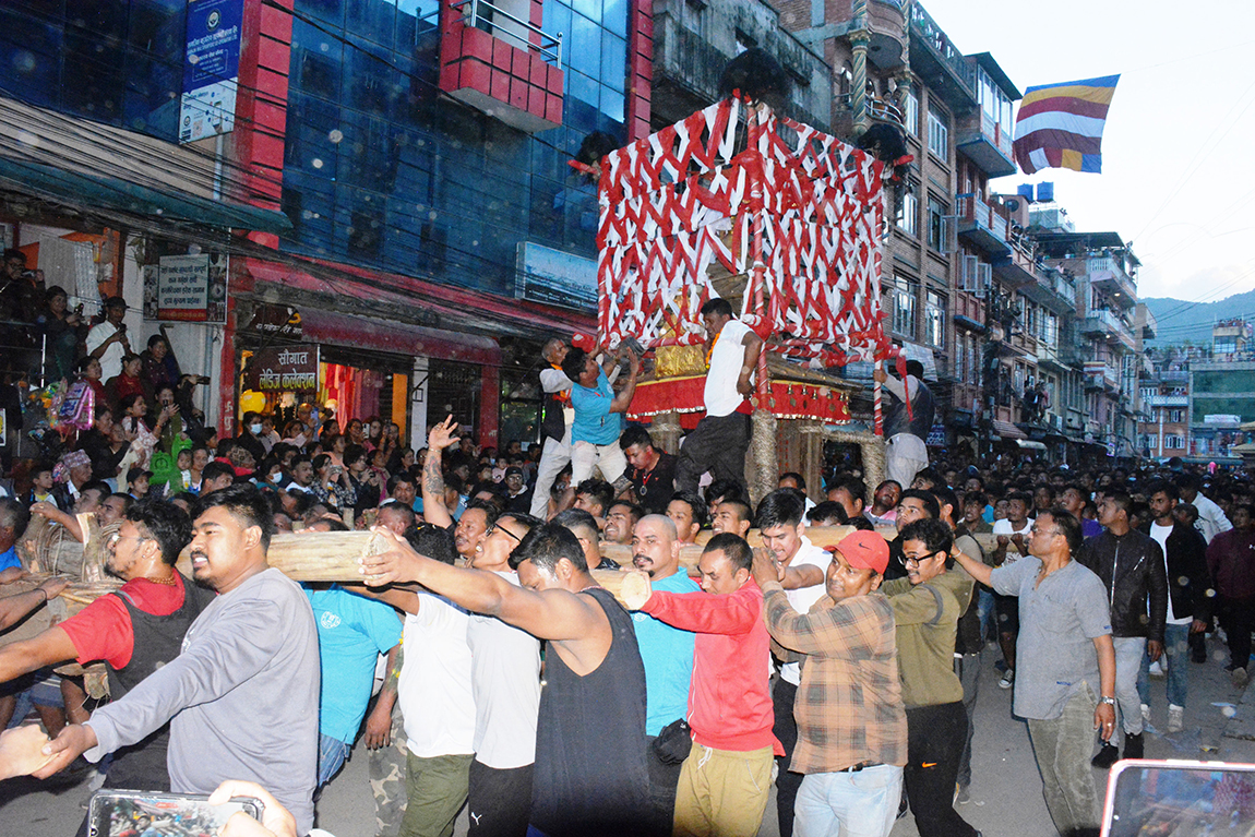 फूलको रस चुस्दै माहुरी। तस्बिर: नारायण महर्जन