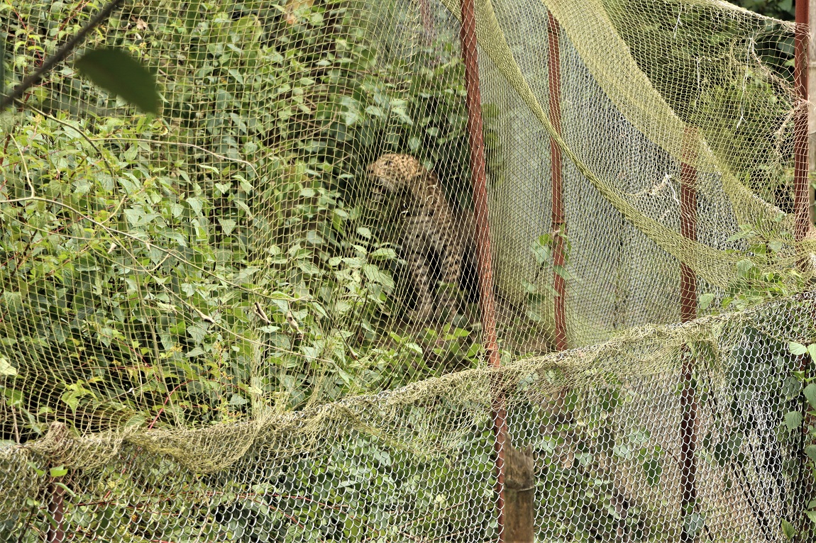 आजका तस्बिर- साउन ९