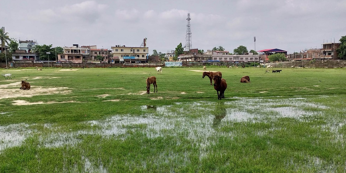 आजका तस्बिर-असार ३