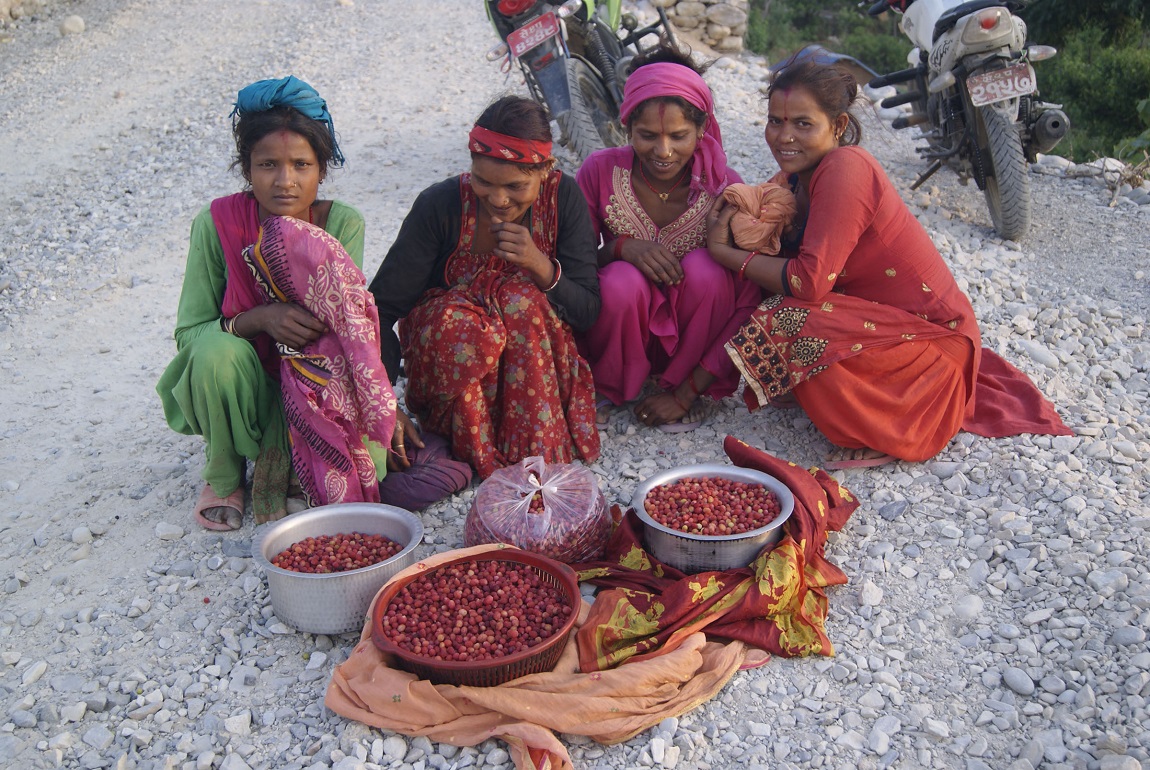 आजका तस्बिरहरू- वैशाख २३