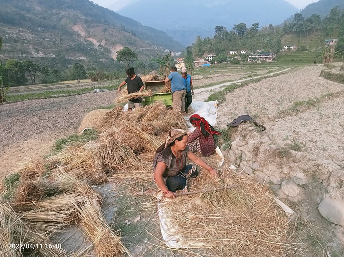 आजका तस्बिर- चैत ३०