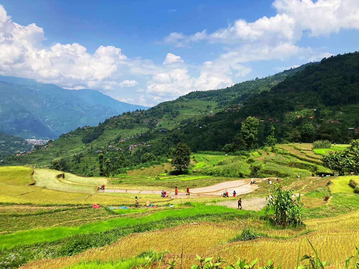 आजका तस्बिर- असार १३