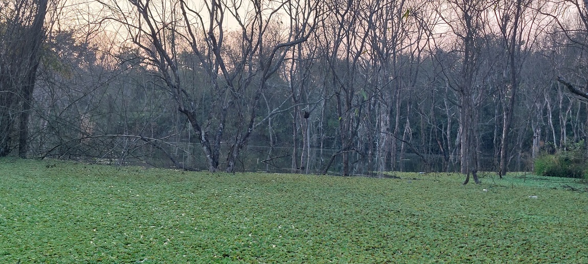 आजका तस्बिर- चैत १२