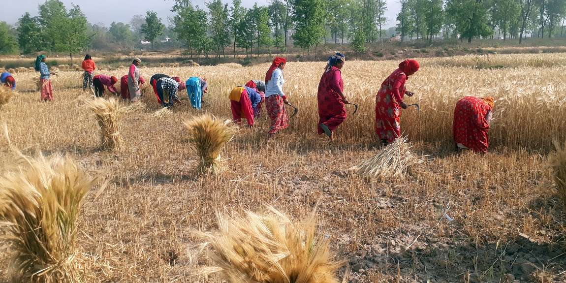 आजका तस्बिरहरू- चैत २२