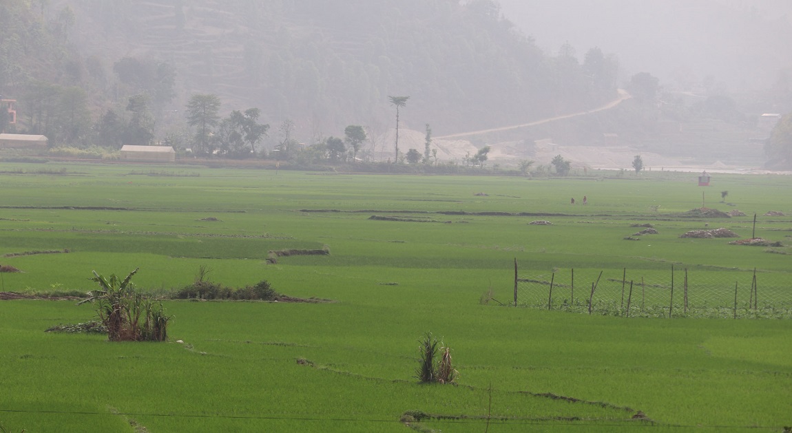 आजका तस्बिरहरू- चैत २२