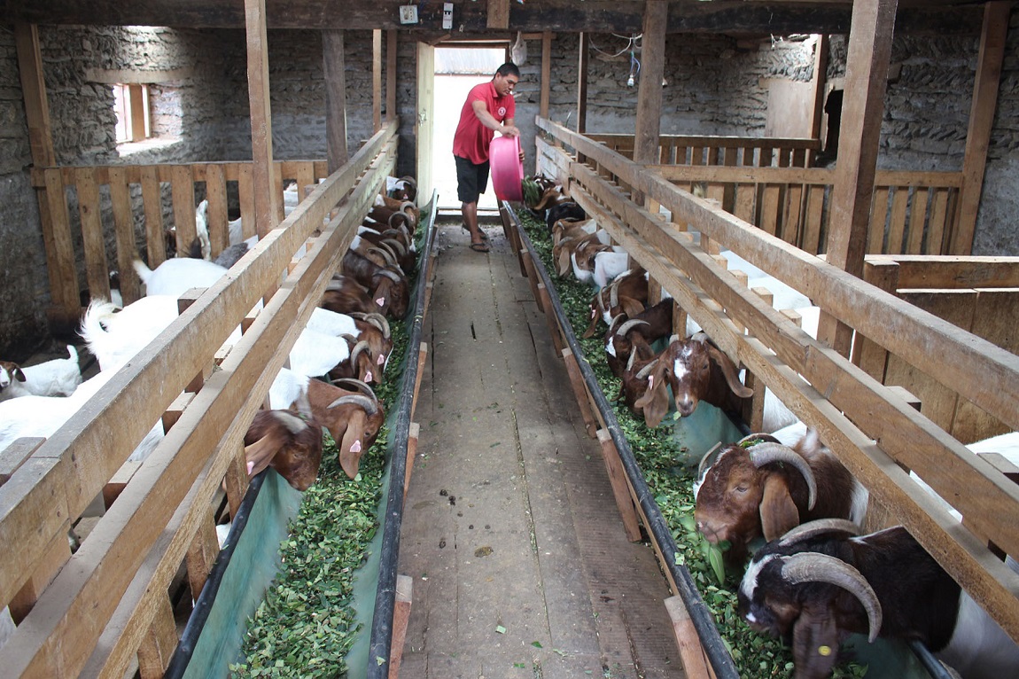 आजका तस्बिर- जेठ २०