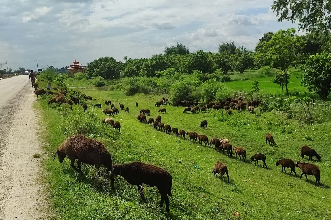 आजका तस्बिर-साउन २५