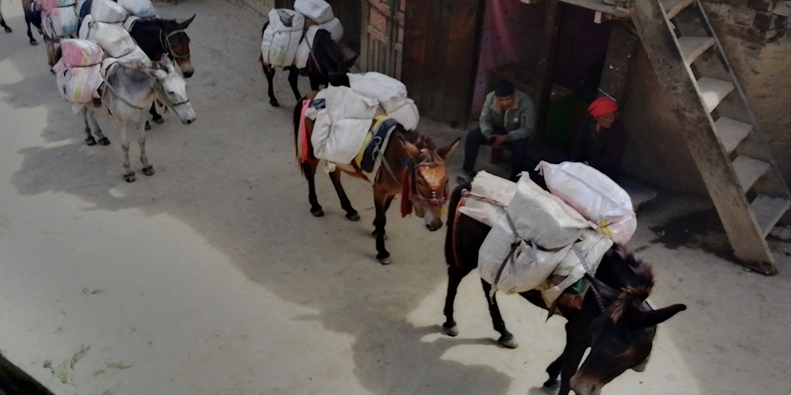 आजका तस्बिर- साउन ३२