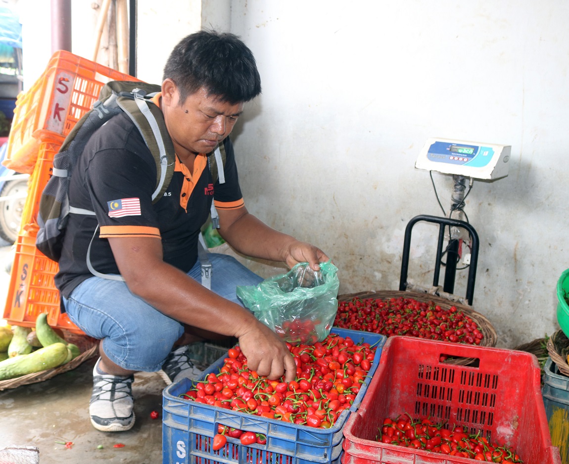 आजका तस्बिर- साउन १९