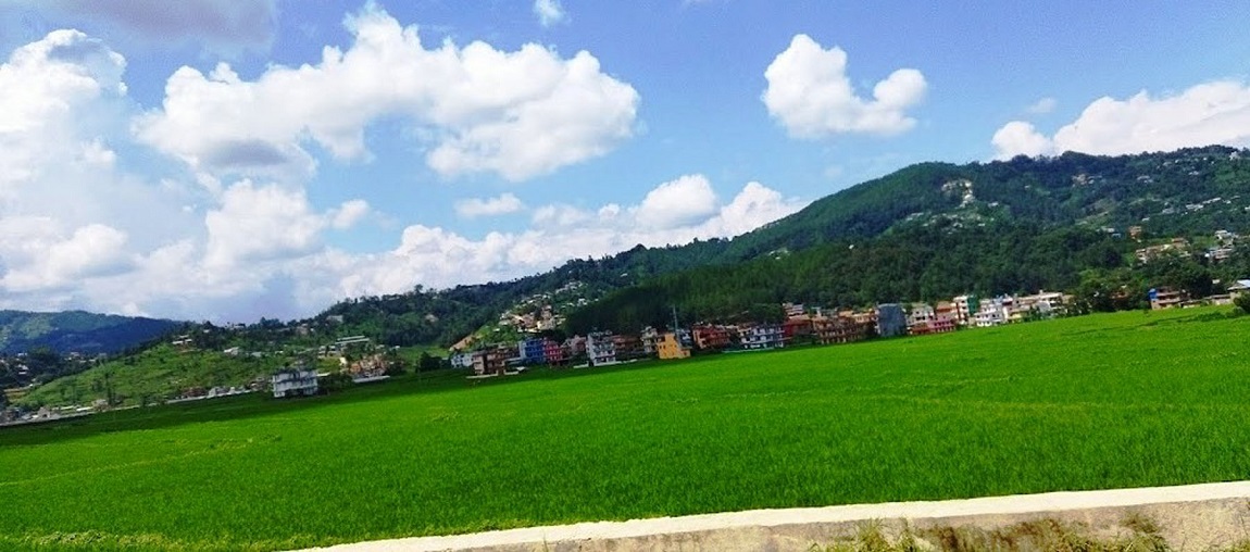 आजका तस्बिर- असार ९