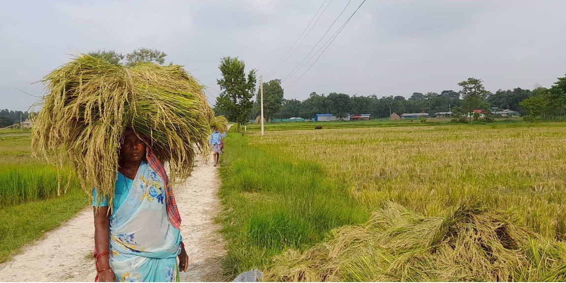 आजका तस्बिर-जेठ २९