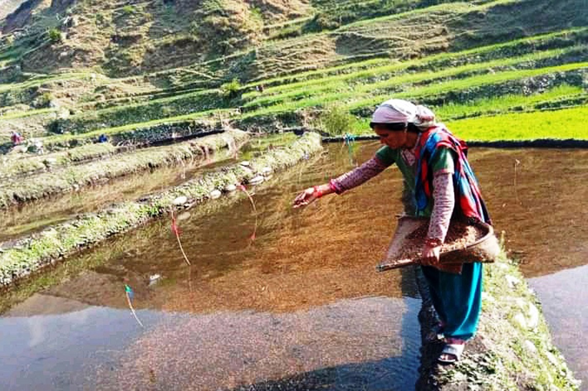 आजका तस्बिरहरू- चैत २१