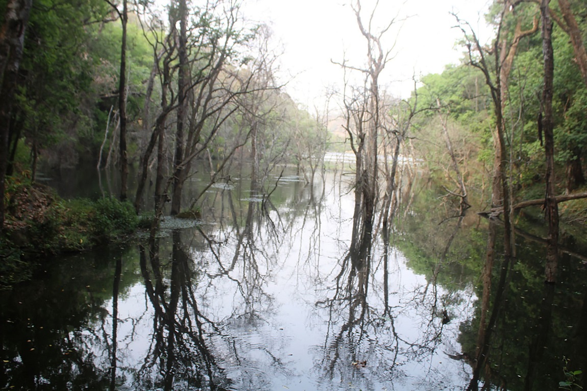आजका तस्बिरहरू- वैशाख १४