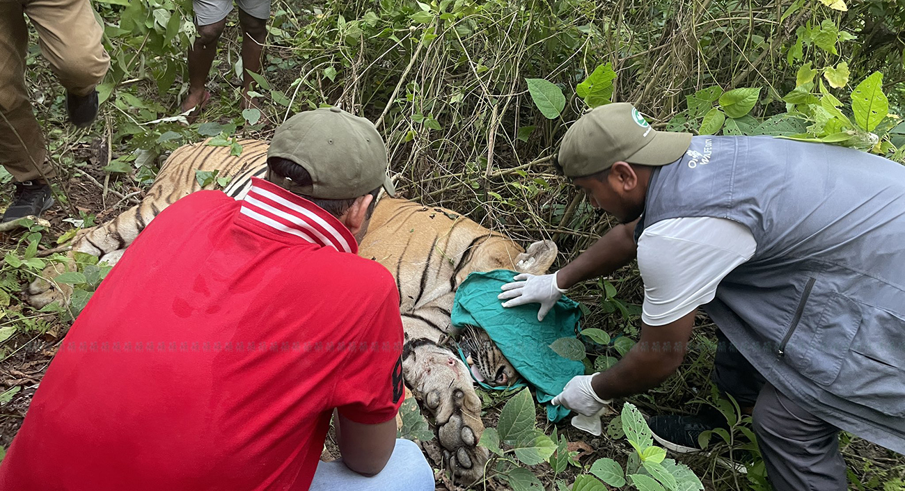 आजका तस्बिर- असार २