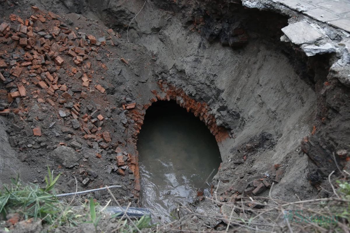 आजका तस्बिर- भदौ ३०