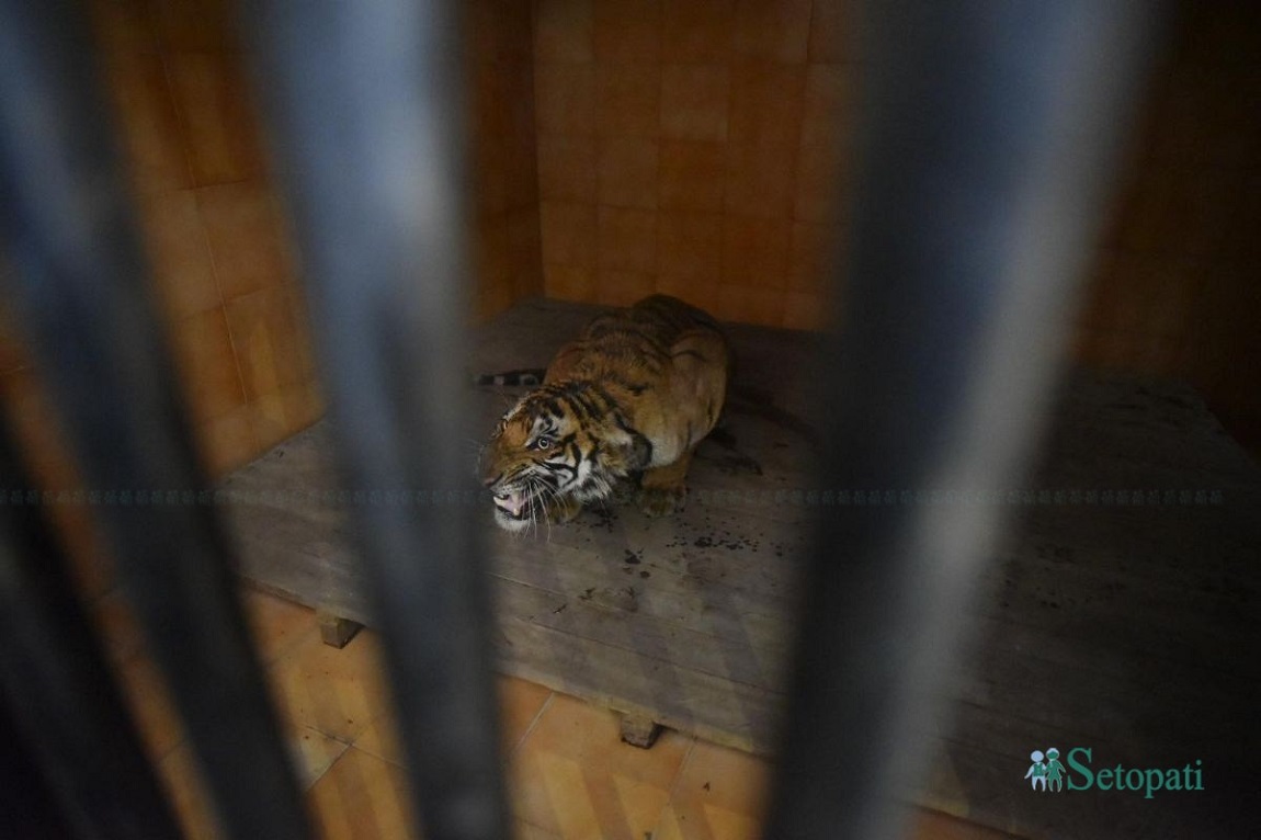 आजका तस्बिर: वैशाख १०