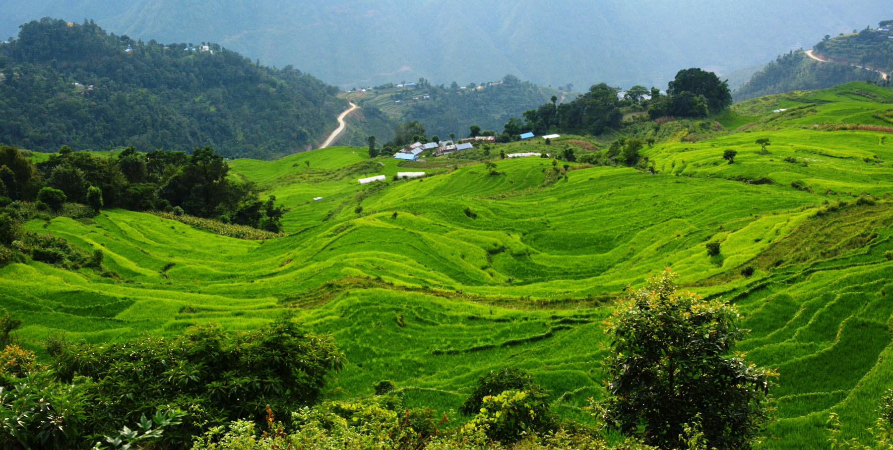 आजका तस्बिर-२२