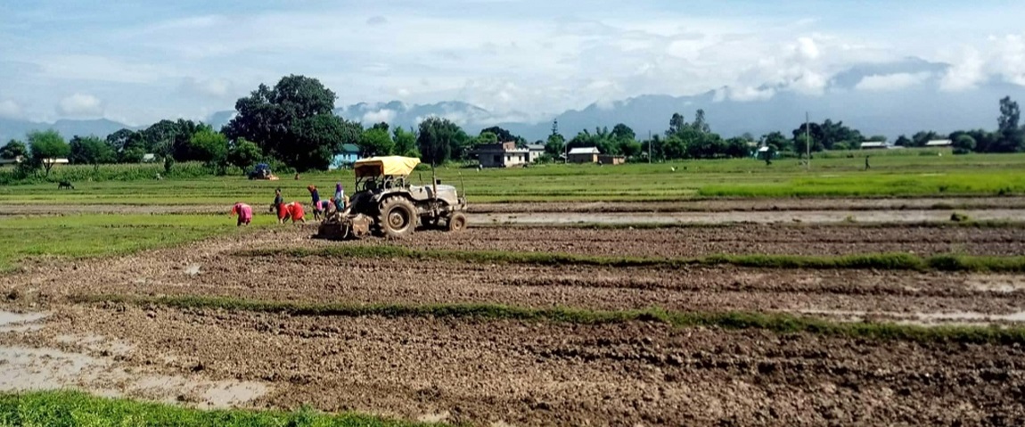 आजका तस्बिर- साउन २२