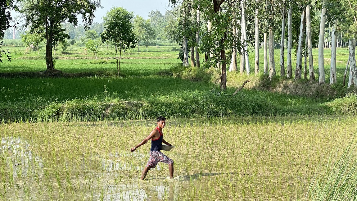 आजका तस्बिर: साउन ३१