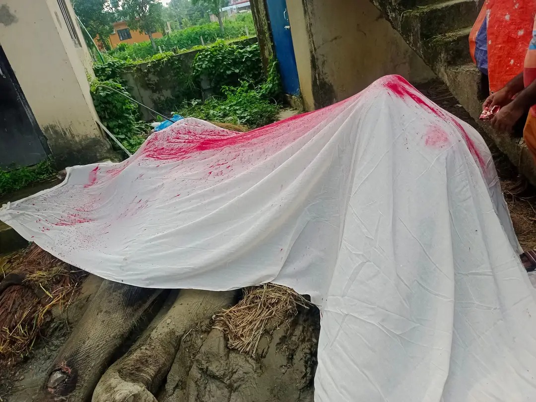 आजका तस्बिर- असार १२