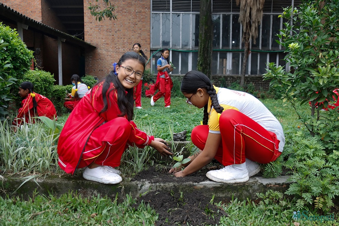 आजका तस्बिर- जेठ २२