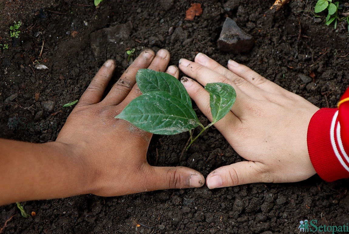 आजका तस्बिर- जेठ २२