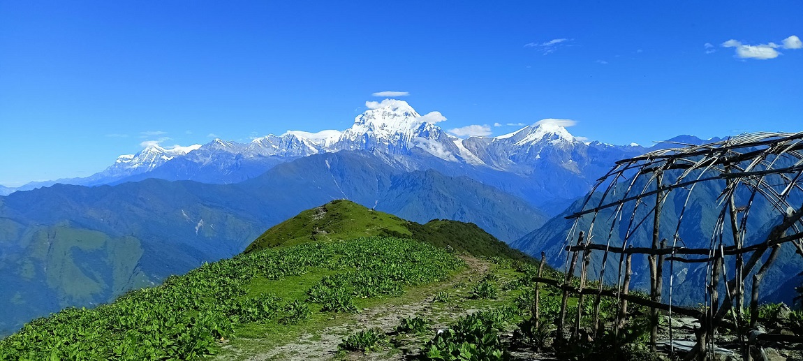 आजका तस्बिर- साउन २८