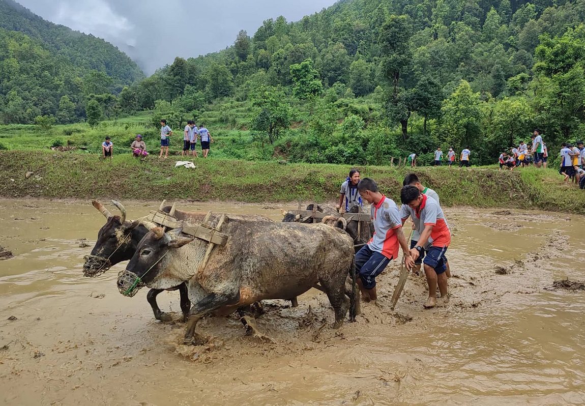 आजका तस्बिर- असार १६