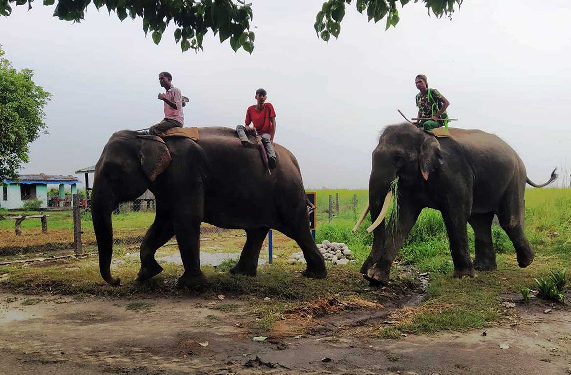 आजका तस्बिर- असार १७