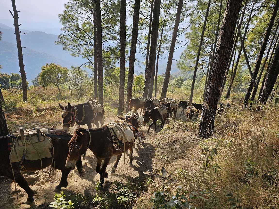 कपिलवस्तुको रमणिय जगदिशपुर ताल नजिकैको जगदिशपुर गाउँमा सञ्चालित थारु सामुदायिक होमस्टेका सञ्चालकहरु आफ्नो जातीय पहिरनमा। पाँच वर्ष अगाडिदेखि सञ्चालित जगदिशपुर जलाशय थारु सामुदायिक होमस्टेका १३ घरमा पाहुना राखिन्छ। यहाँ एकै पटक २७ जना बास बस्न सक्छन्। सामुदायिक होमस्टेका अध्यक्ष अनिल चौधरीकाअनुसार अट्याच बाथरुमसहित डबल बेड भएको कोठाको चार सय रुपैयाँ पर्छ भने सादा खानाको एक सय पचास रुपैयाँ। तस्बिरः सेतोपाटी