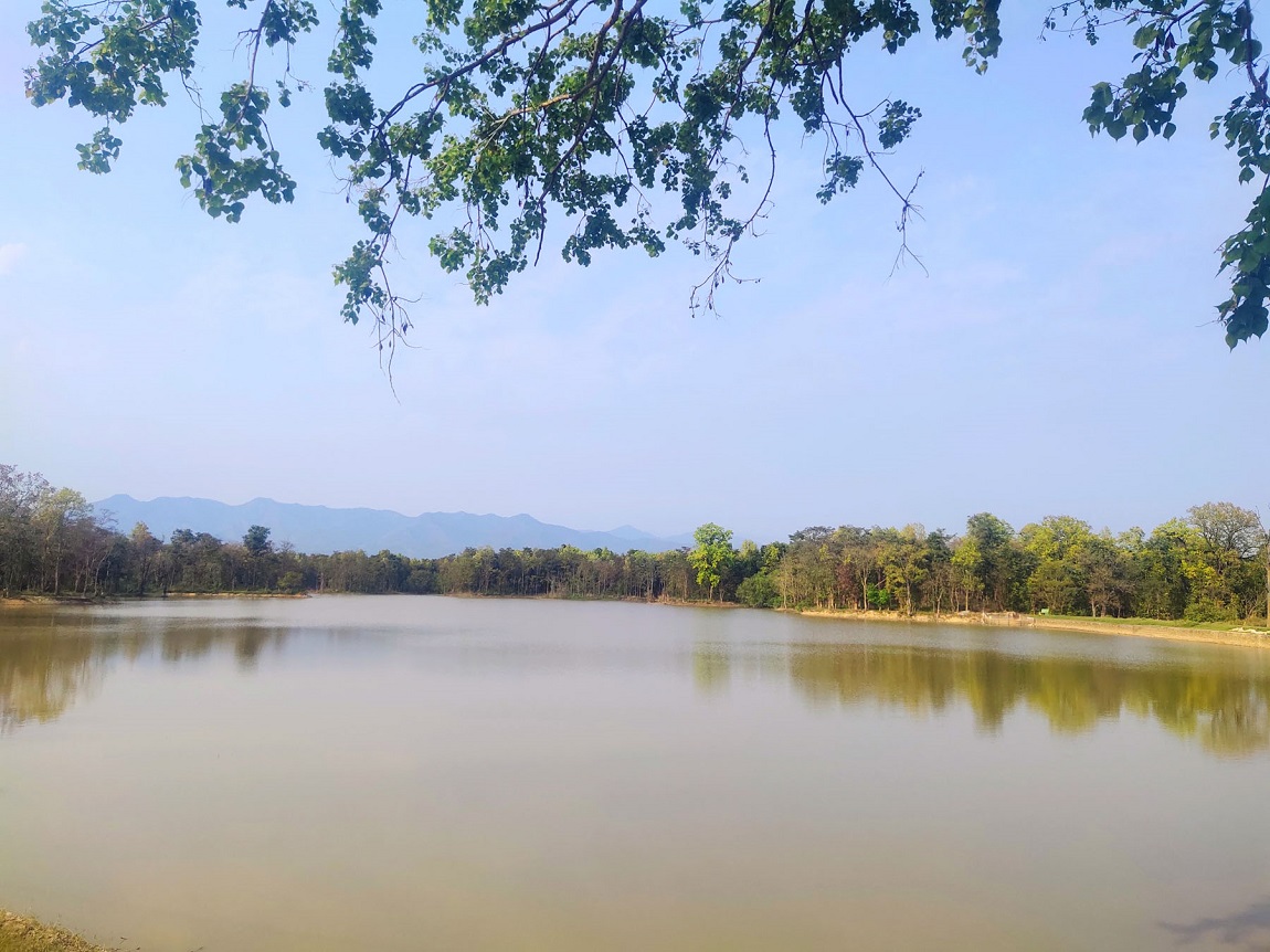 रानीपोखरी सर्वसाधरणका लागि खुला गरेसँगै मानिसहरू हिँडडुल गर्न आउन थालेको छन्। तस्बिर: मन्दिरा घिमिरे/सेतोपाटी