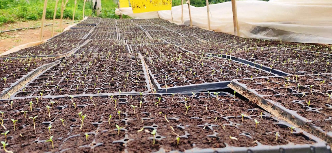 आजका तस्बिर-साउन ३