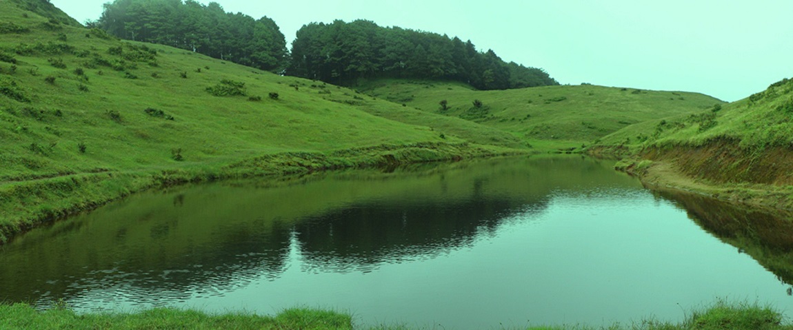 आजका तस्बिर- भदौ २९