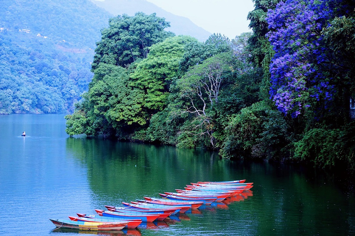 आजका तस्बिरहरू-वैशाख १७