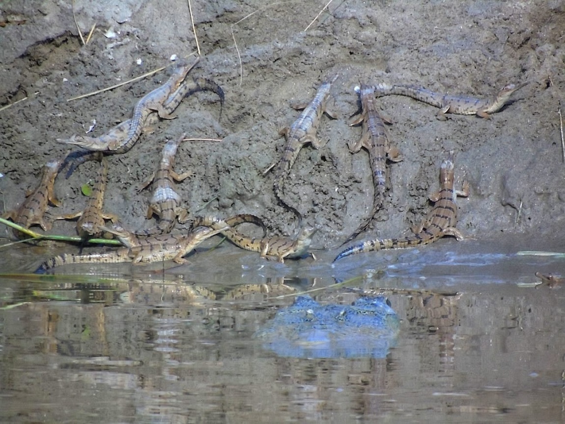 आजका तस्बिरहरू- असार ४