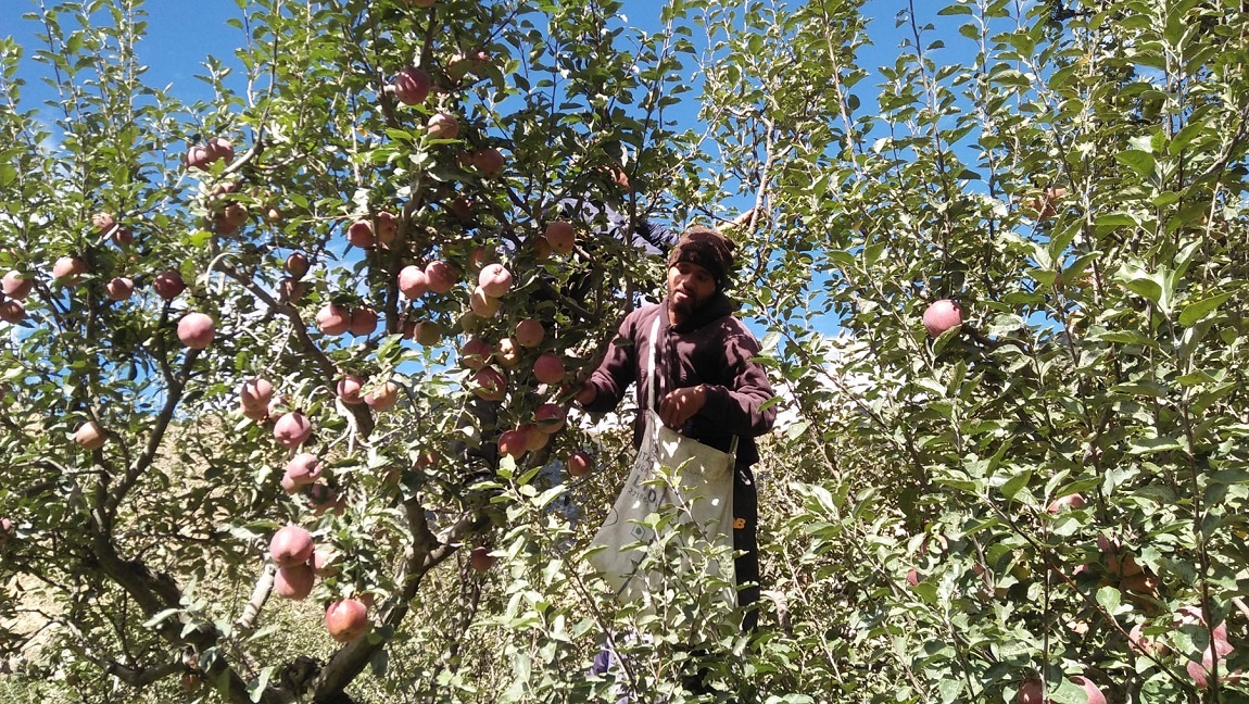 आजका तस्बिरहरू- असोज १०